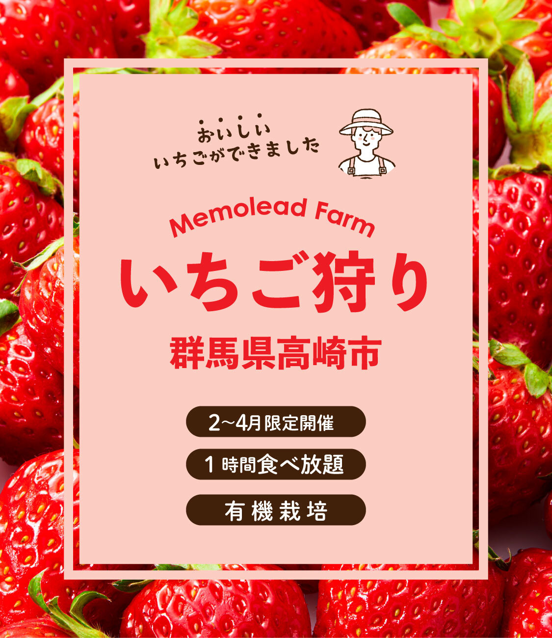 メモリードファーム　いちご狩り　2026