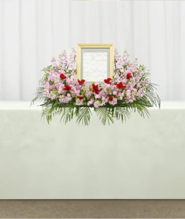 プランのイメージ写真