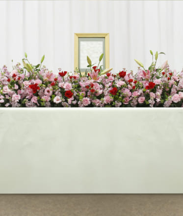 プランのイメージ写真